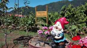Гостиница Granny's farm  Сан-Висенте